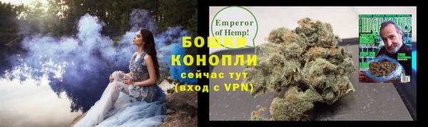 дурь Магас