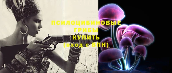spice Богданович