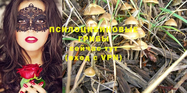 марки lsd Магадан