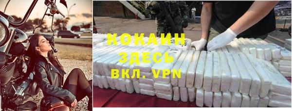 дурь Магас