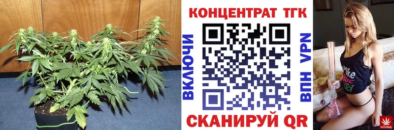 ТГК гашишное масло  Вышний Волочёк 