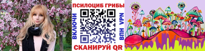 Галлюциногенные грибы Magic Shrooms  блэк спрут ссылка  Вышний Волочёк  где купить наркотик 
